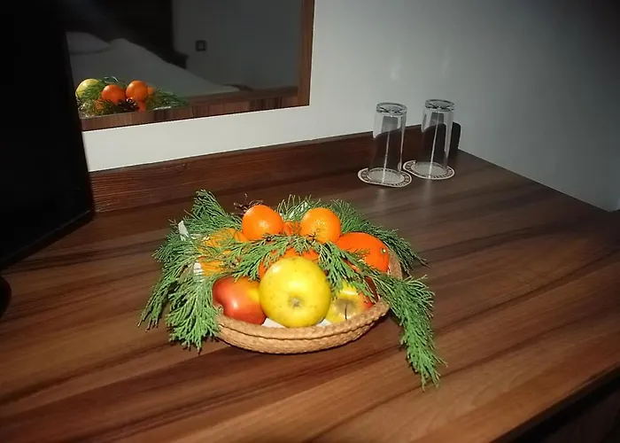 Hotel Teddy House 3*